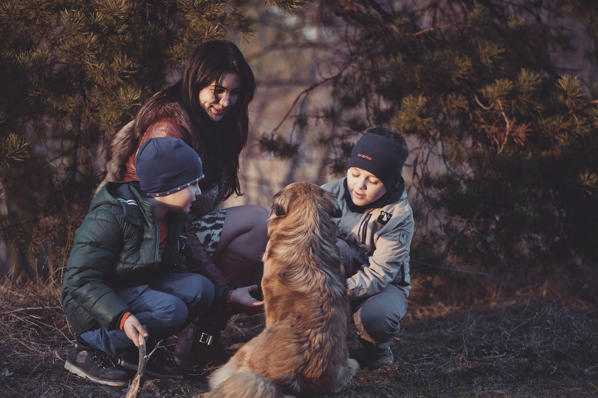 LA EJECUCIÓN EN LOS PROCESOS DE FAMILIA